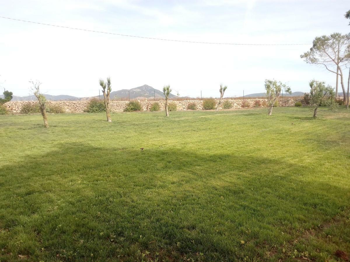Casa Rosi Apartman Alghero Kültér fotó